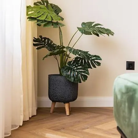 Appartement Olive Designer *